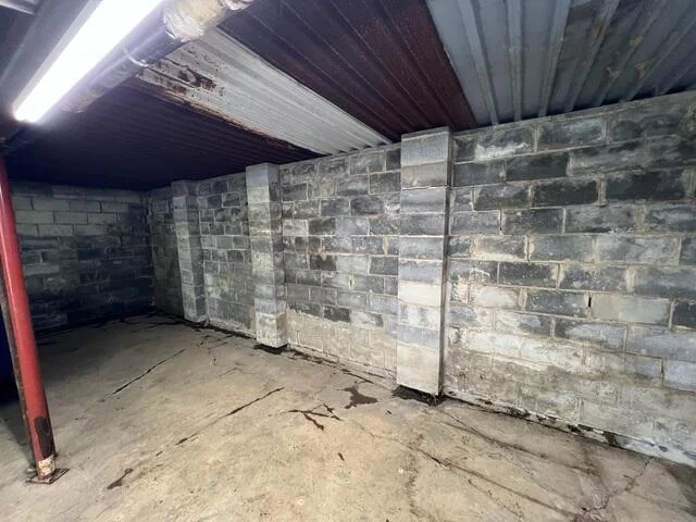 Everbrace Wall Restoration System